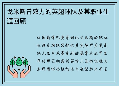 戈米斯曾效力的英超球队及其职业生涯回顾