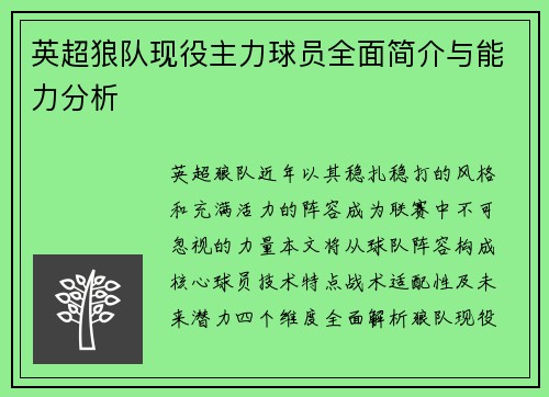 英超狼队现役主力球员全面简介与能力分析